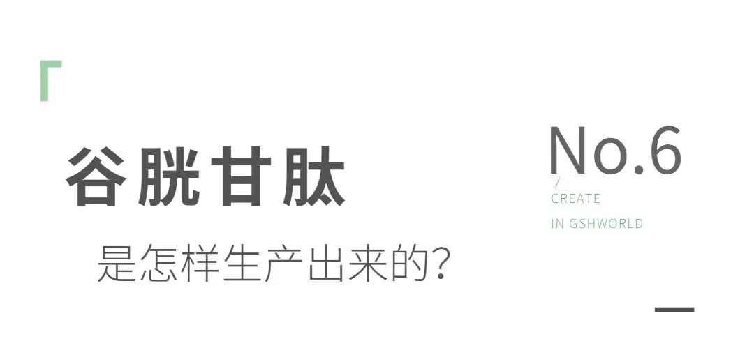 谷胱甘肽是如何生產的？